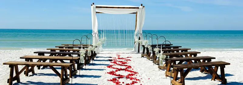 Simple Weddings — photo 1
