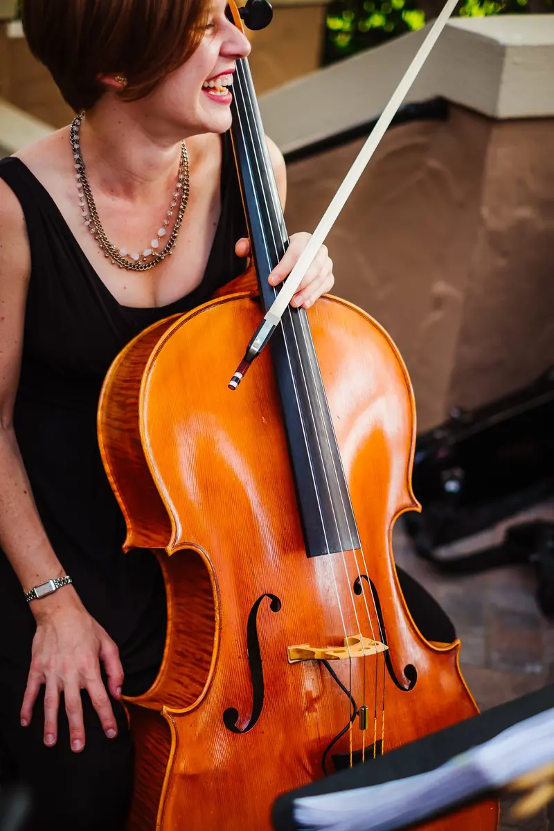 Sunset Strings — photo 1
